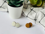Teacher earrings